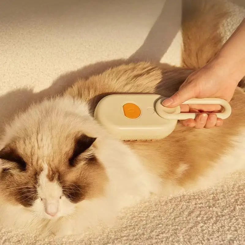 SteamBrush Pro™